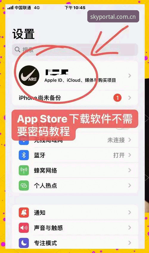从下载迷茫到一步到位：一位老用户分享星空入口中文官方主页苹果版下载的完整使用心得